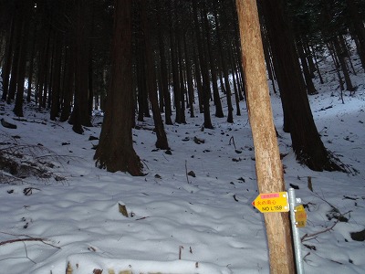 c0097754_23374675.jpg