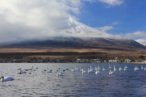 a0248459_5273091.jpg