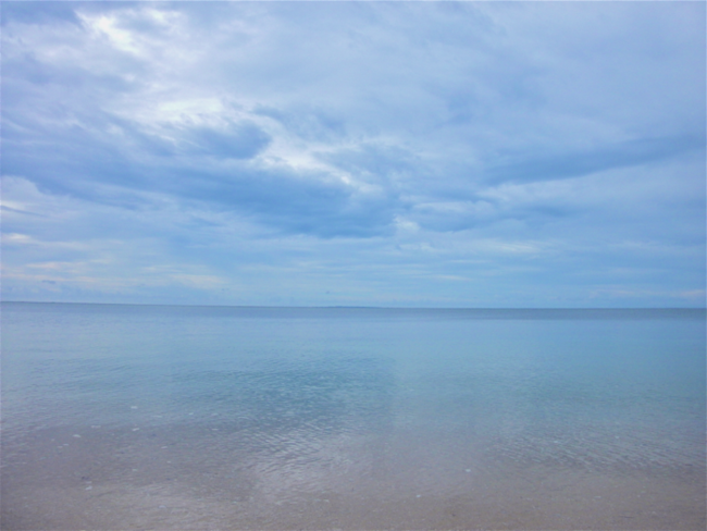 a0246566_10172715.png