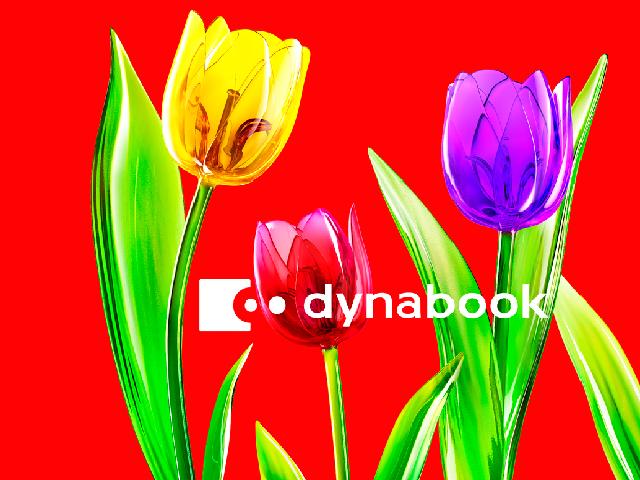 Dynabook Wallpaper 東芝パソコン昔懐かしの壁紙コレクション