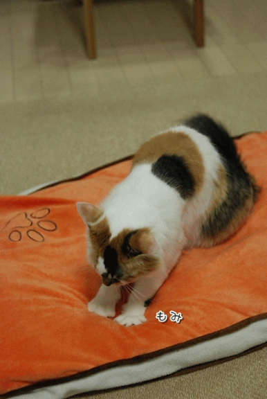 a0266372_22192376.gif