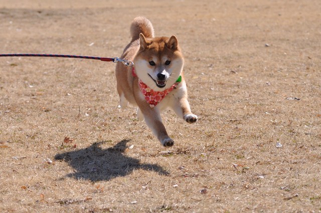 見つけた!!_a0126590_17151141.jpg