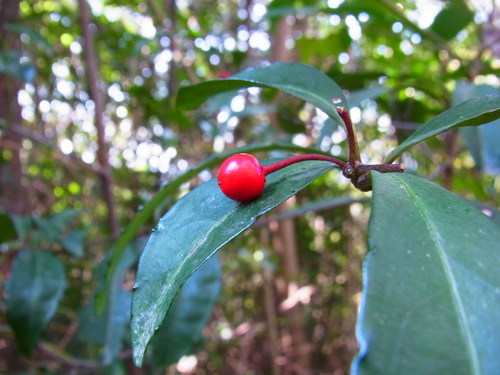 a0214490_18453722.jpg