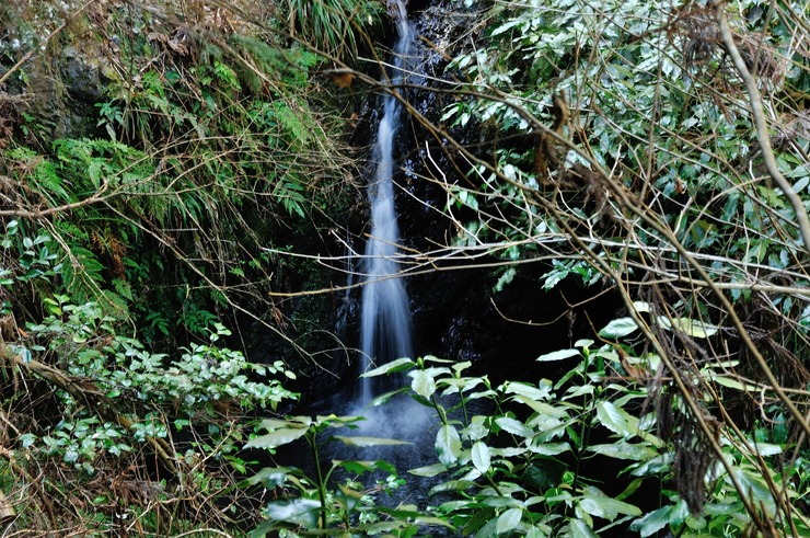 2013.02.09　滝　越上沢（おがみざわ）　埼玉県入間郡（いるまぐん）越生町（おごせまち）_b0217090_732848.jpg