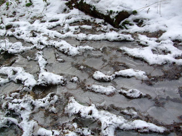 f0100593_17112462.jpg