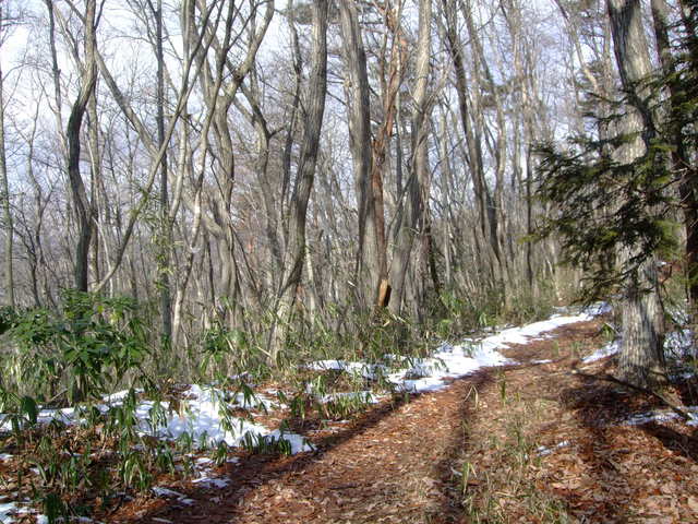 f0100593_1714598.jpg