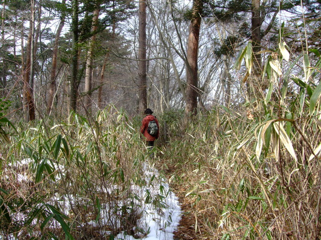 f0100593_17162153.jpg