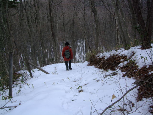 f0100593_1724434.jpg
