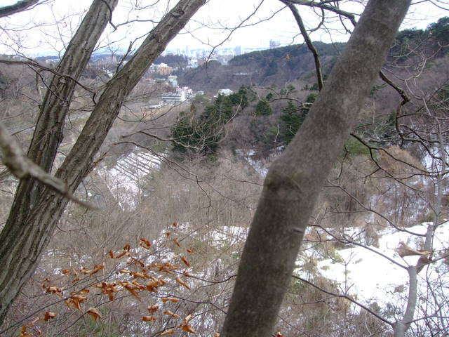 f0100593_17315638.jpg