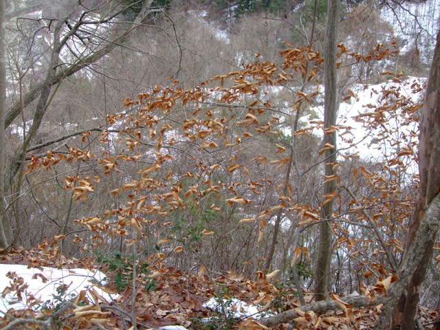 f0100593_17321767.jpg