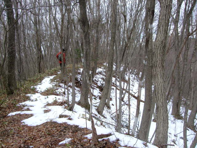 f0100593_17333433.jpg