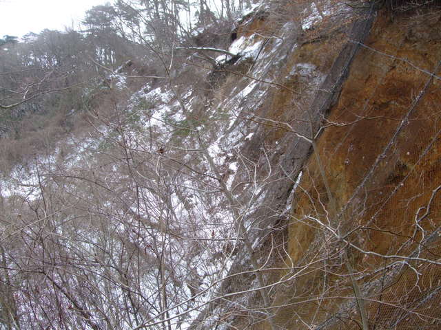 f0100593_1821589.jpg