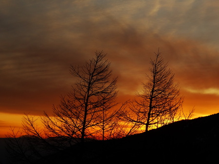 春一番の後の夕暮れ_e0120896_65852.jpg