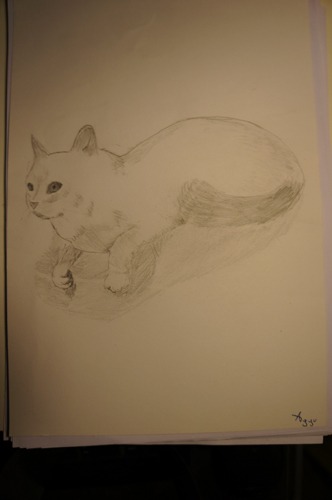 ユキちゃん作「猫」_f0106597_2203992.jpg