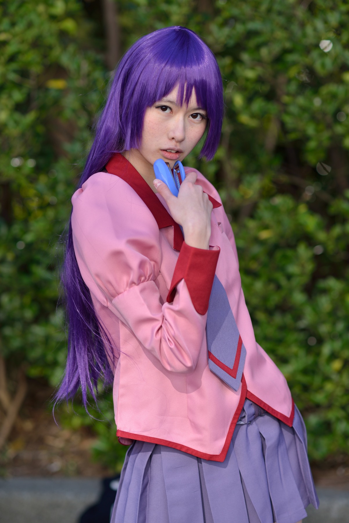 0210 Wf ふつれさん 化物語 戦場ヶ原ひたぎ Razzle Dazzle Fragile 0210 Wf ふつれさん 化物語 戦場ヶ原ひたぎ Razzle Dazzle Fragile