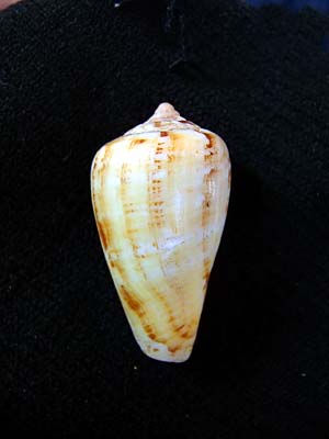 b0168000_11232696.jpg