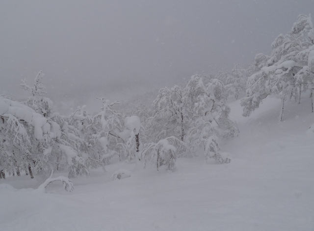 2012-13 ニセコレポート その8 チセヌプリ バックカントリー_c0151002_2216542.jpg