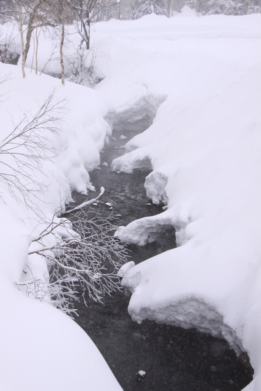 神々が遊ぶ庭・・・大雪山旭岳の冬景色・・・その4_d0248502_043781.jpg