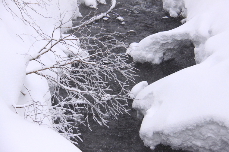 神々が遊ぶ庭・・・大雪山旭岳の冬景色・・・その4_d0248502_0443861.jpg