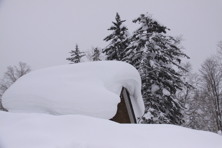 神々が遊ぶ庭・・・大雪山旭岳の冬景色・・・その4_d0248502_0461943.jpg