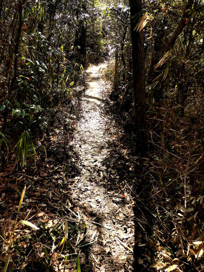 f0219710_12265964.jpg