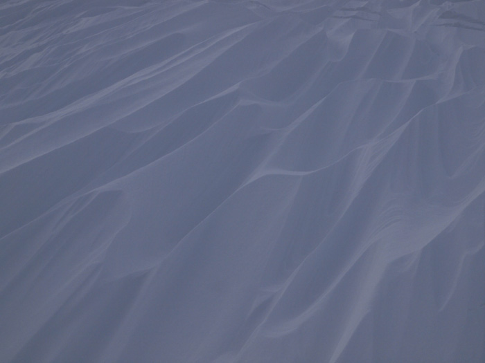 c0110112_2246167.jpg