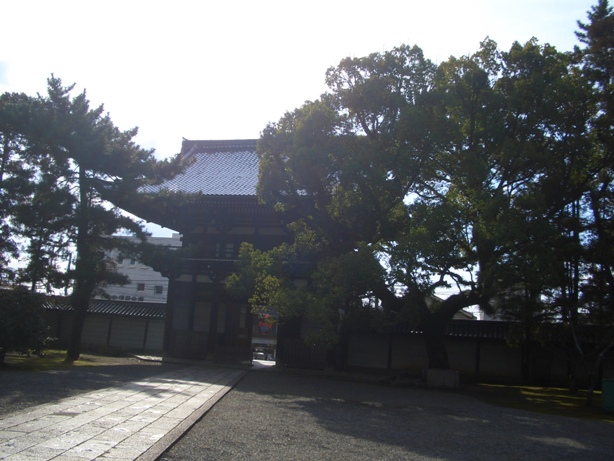 太秦広隆寺で国宝弥勒菩薩にお会いする。_e0033713_11551310.jpg