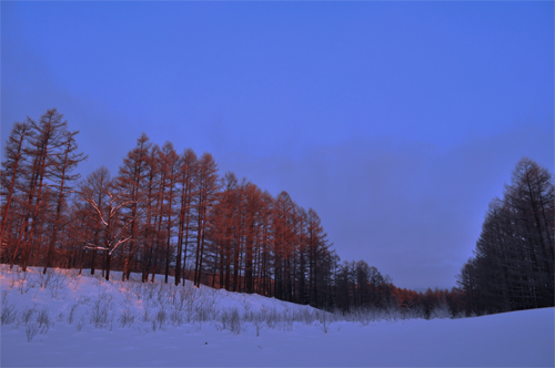 極寒の北海道_b0159315_1234222.jpg