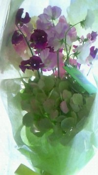 新しい歳。新しい年。_a0254818_16452168.jpg