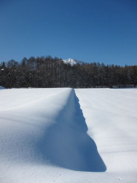 雪景色ⅩL_a0099121_17313696.jpg