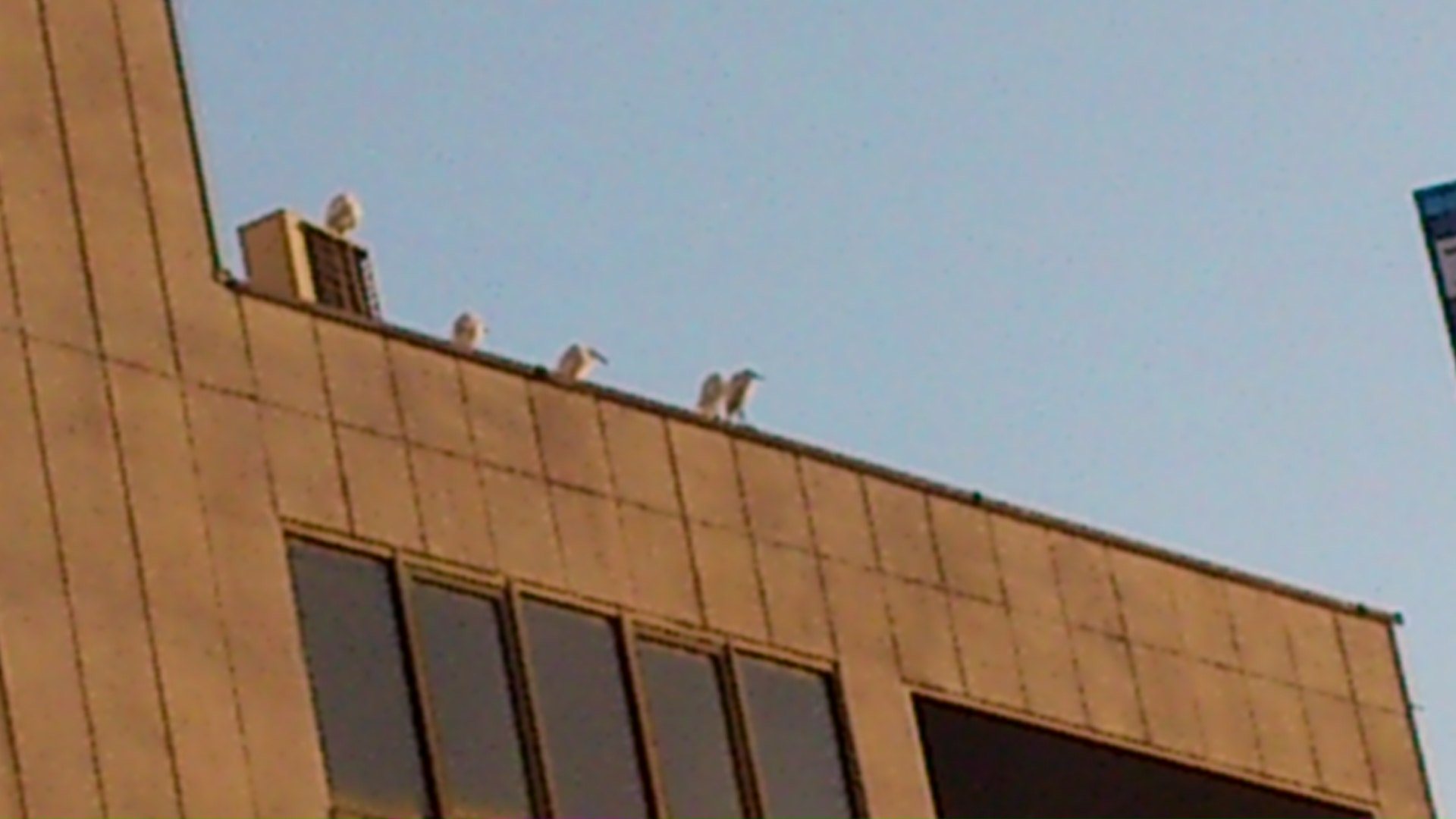 a0082123_23284491.jpg