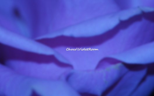 e0245625_16581746.png