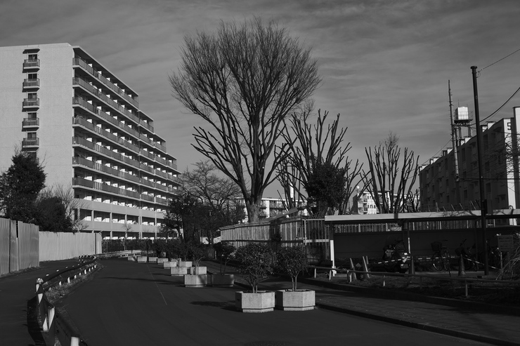 e0191232_1504240.jpg