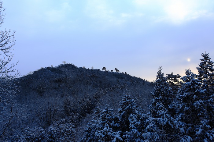 a0294534_17323886.jpg
