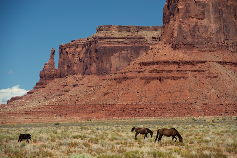 f0254240_6373477.jpg