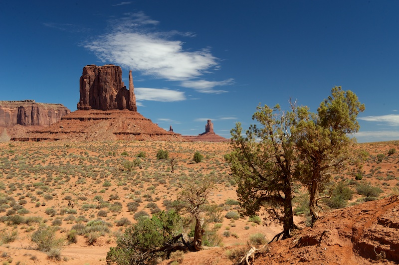 f0254240_638168.jpg