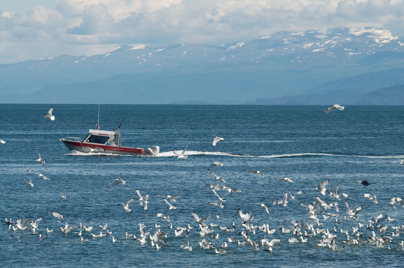 f0254240_83971.jpg