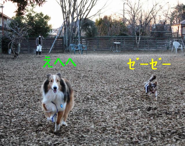 久しぶりのB-WOODランへ_e0195743_542171.jpg