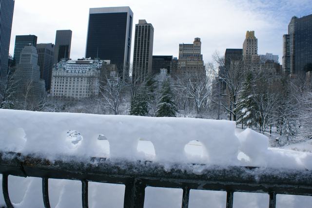 セントラルパーク、雪の日の散歩の続き、_a0170045_103396.jpg