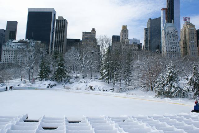 セントラルパーク、雪の日の散歩の続き、_a0170045_1054769.jpg