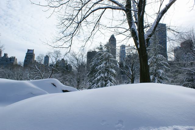 セントラルパーク、雪の日の散歩の続き、_a0170045_107538.jpg