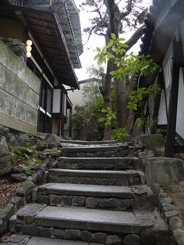 e0100046_1725094.jpg