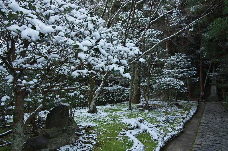 雪景色・哲学の道ぶらり_f0155048_18551130.jpg