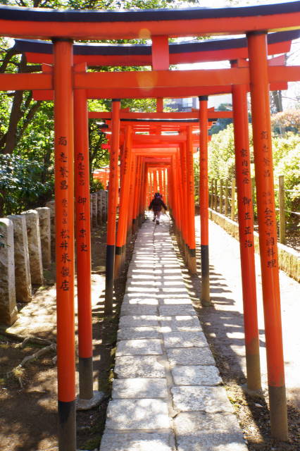 根津神社_a0257652_2123622.jpg