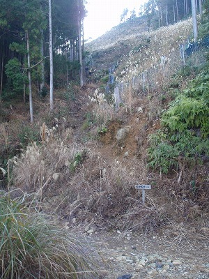 c0097754_032092.jpg