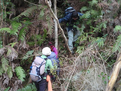 c0097754_0333826.jpg