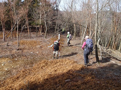 c0097754_040545.jpg