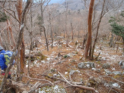 c0097754_0452328.jpg