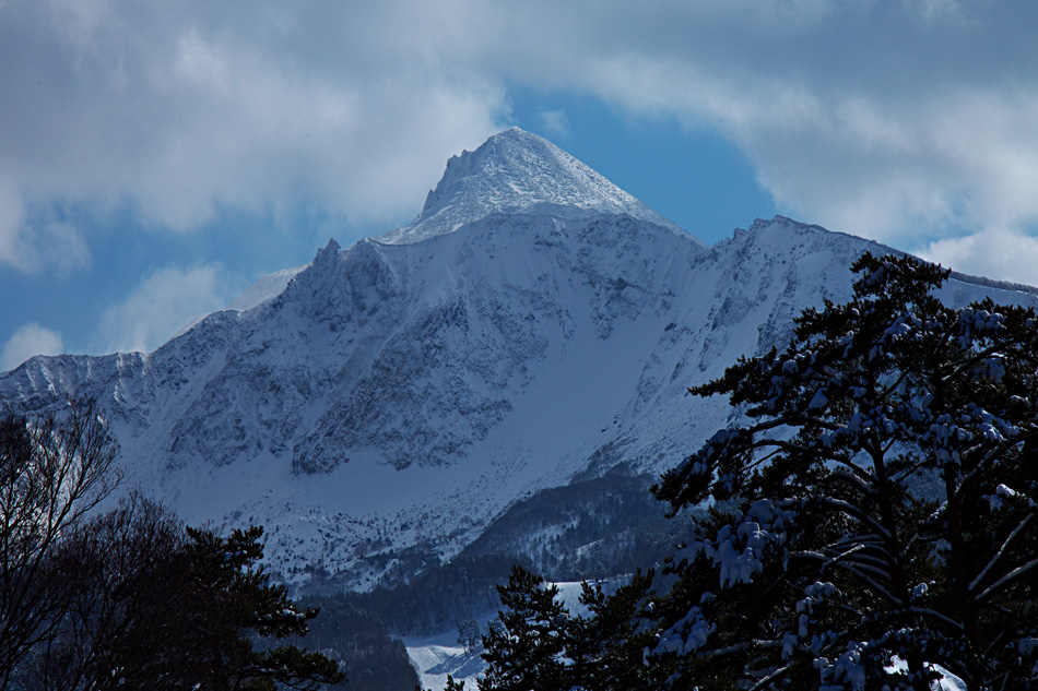 a0146658_8411560.jpg
