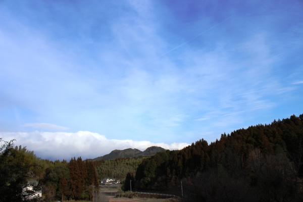 a0174458_17572.jpg